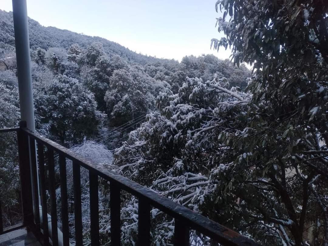 Oak Wood Homestay Banikhet دالهوزي المظهر الخارجي الصورة